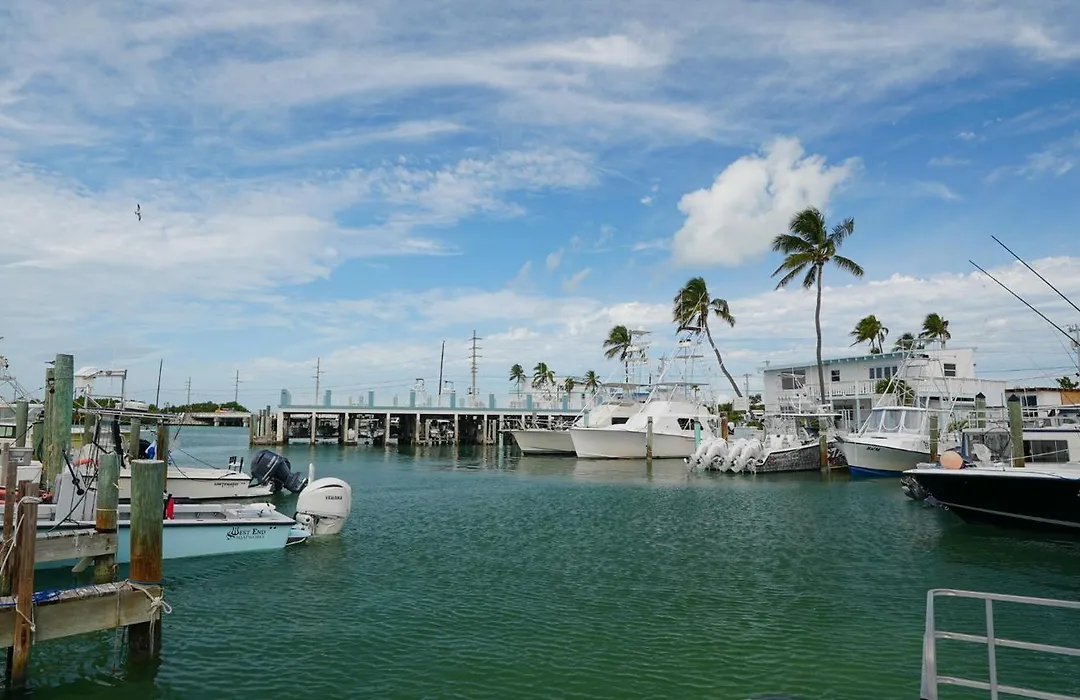 Bud N' Mary'S Marina-1