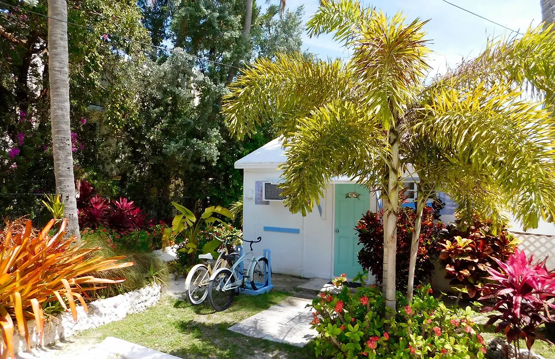 Pines & Palms Resort-1