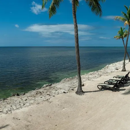 Caloosa Cove Resort By Coolvacay-3