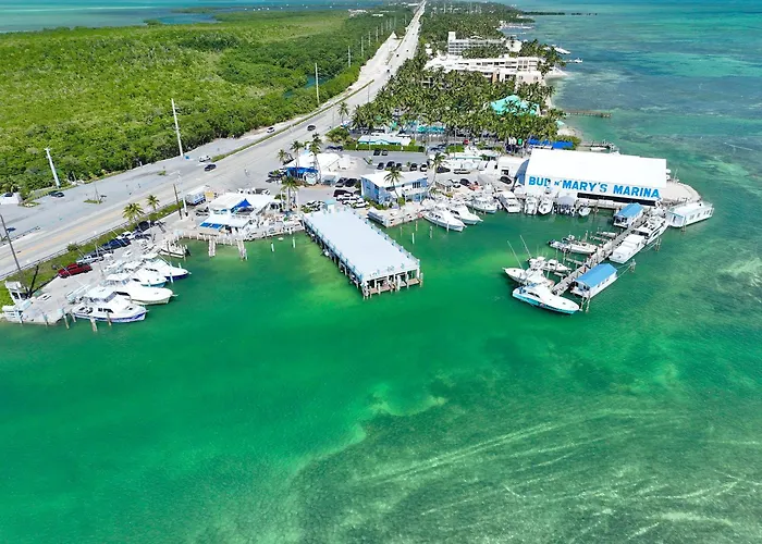 Bud N' Mary'S Marina Islamorada